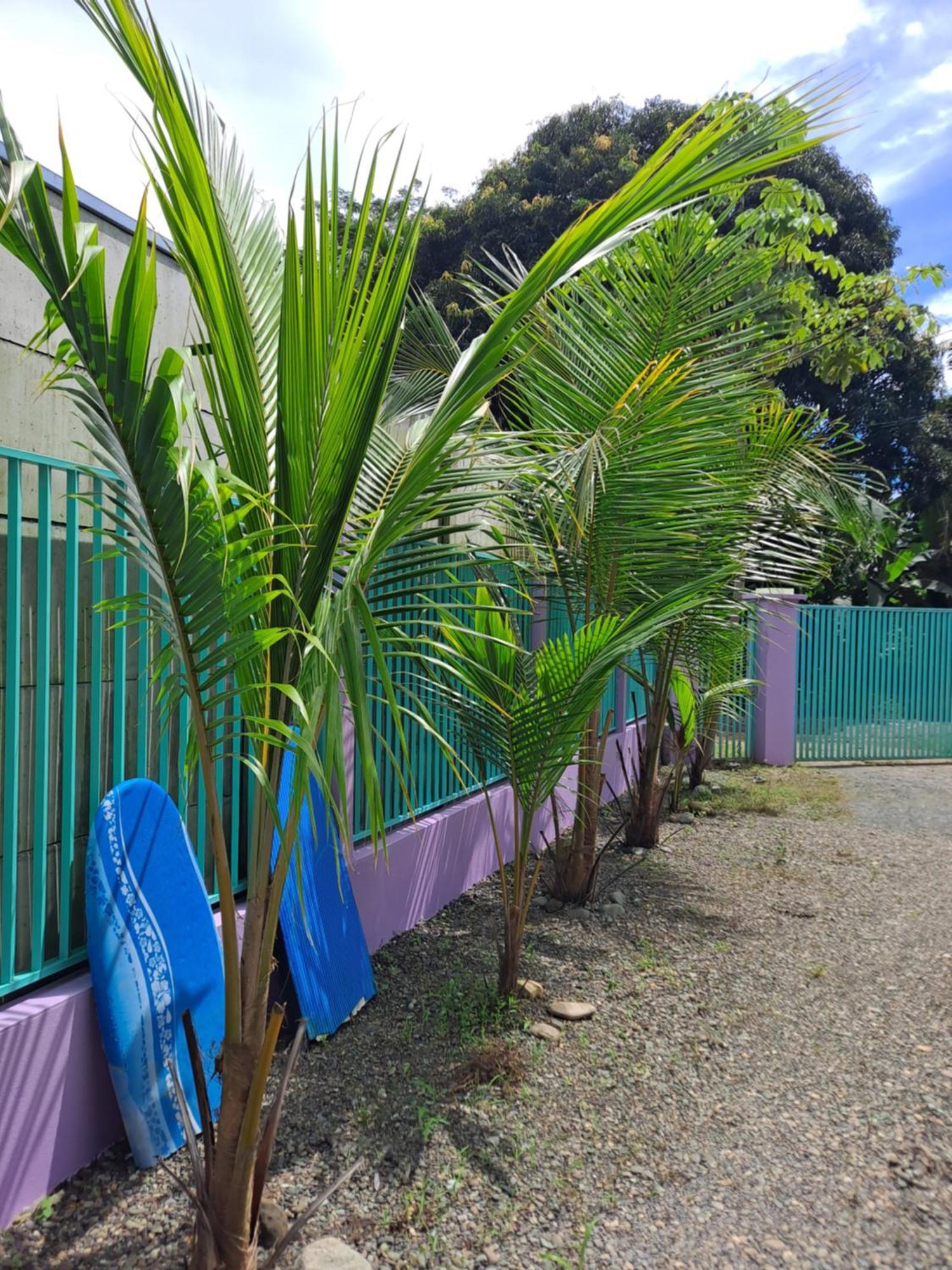 Casa Uvita Bay Exterior foto